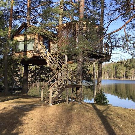 Villa Treehouse Ciekurs Dukuri Esterno foto