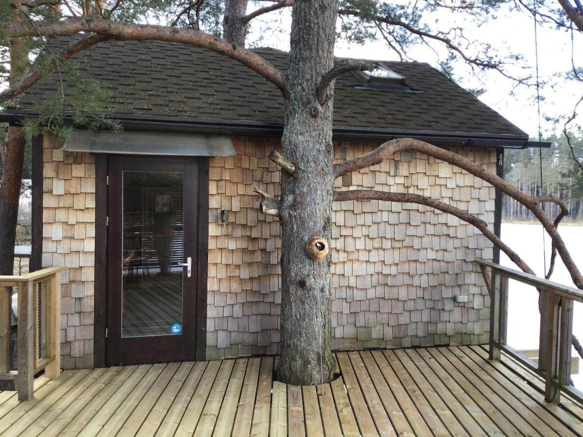 Villa Treehouse Ciekurs Dukuri Esterno foto