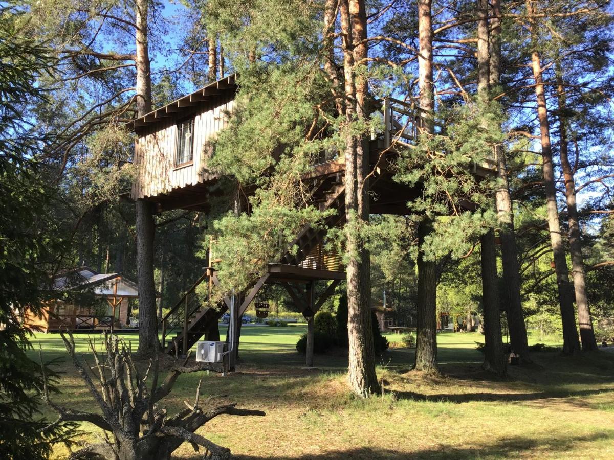 Villa Treehouse Ciekurs Dukuri Esterno foto