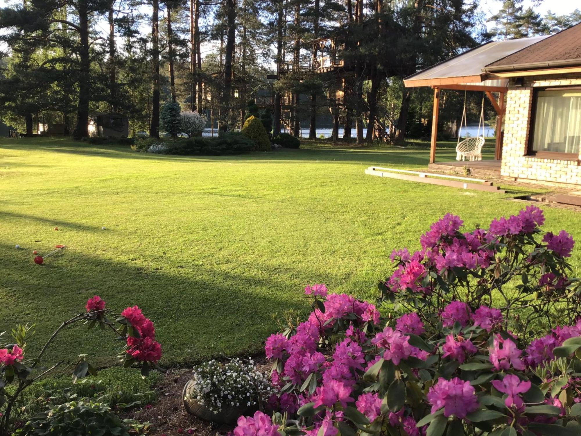 Villa Treehouse Ciekurs Dukuri Esterno foto