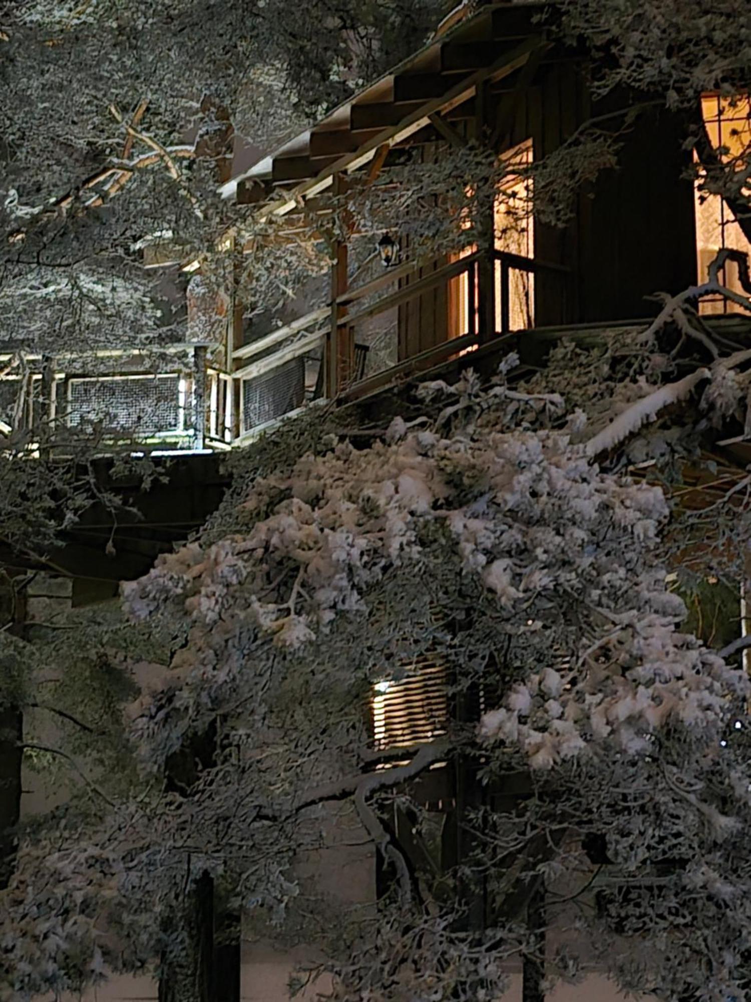 Villa Treehouse Ciekurs Dukuri Esterno foto