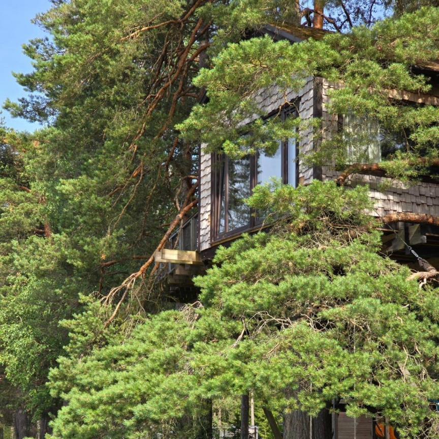 Villa Treehouse Ciekurs Dukuri Esterno foto
