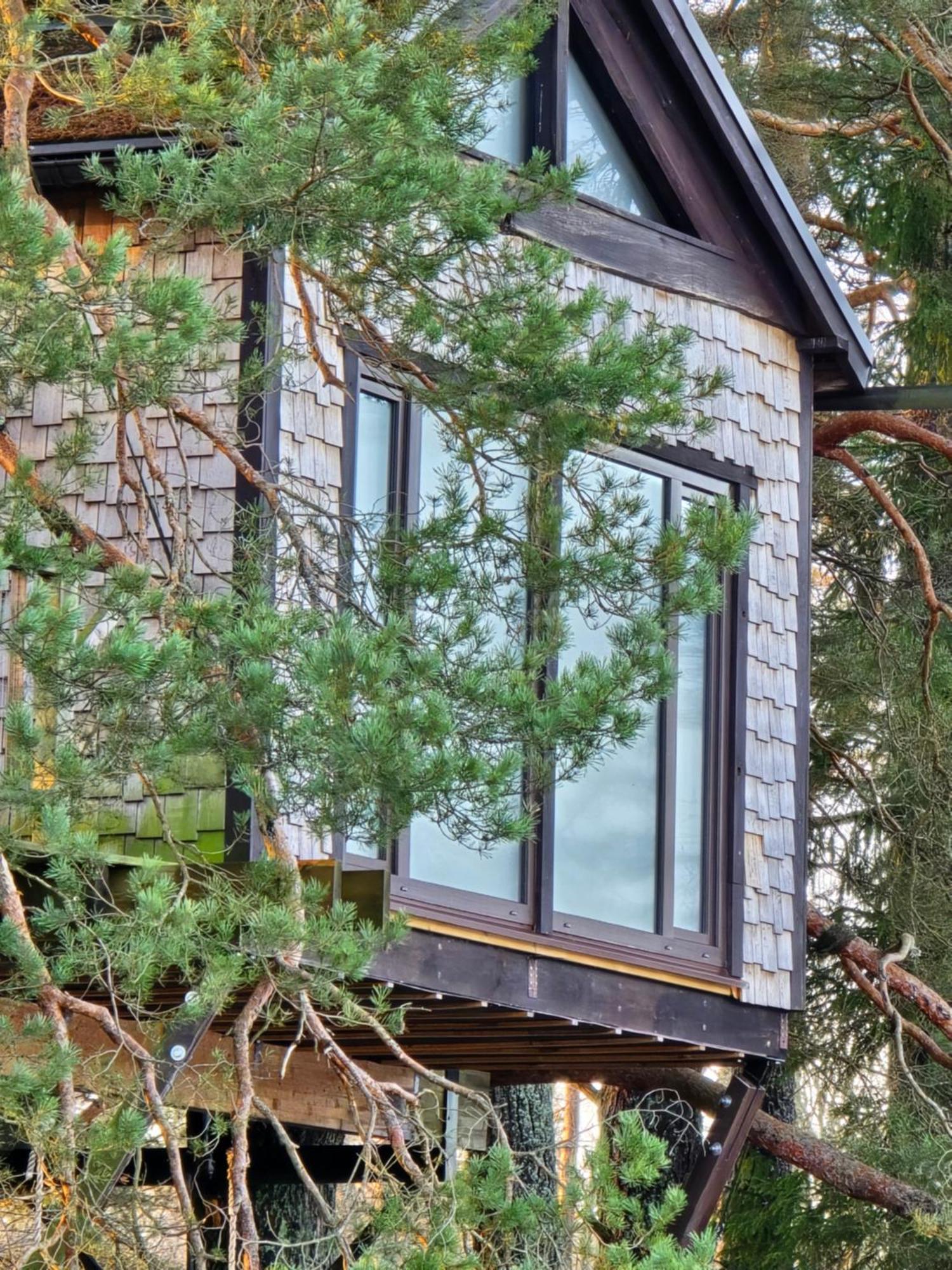 Villa Treehouse Ciekurs Dukuri Esterno foto