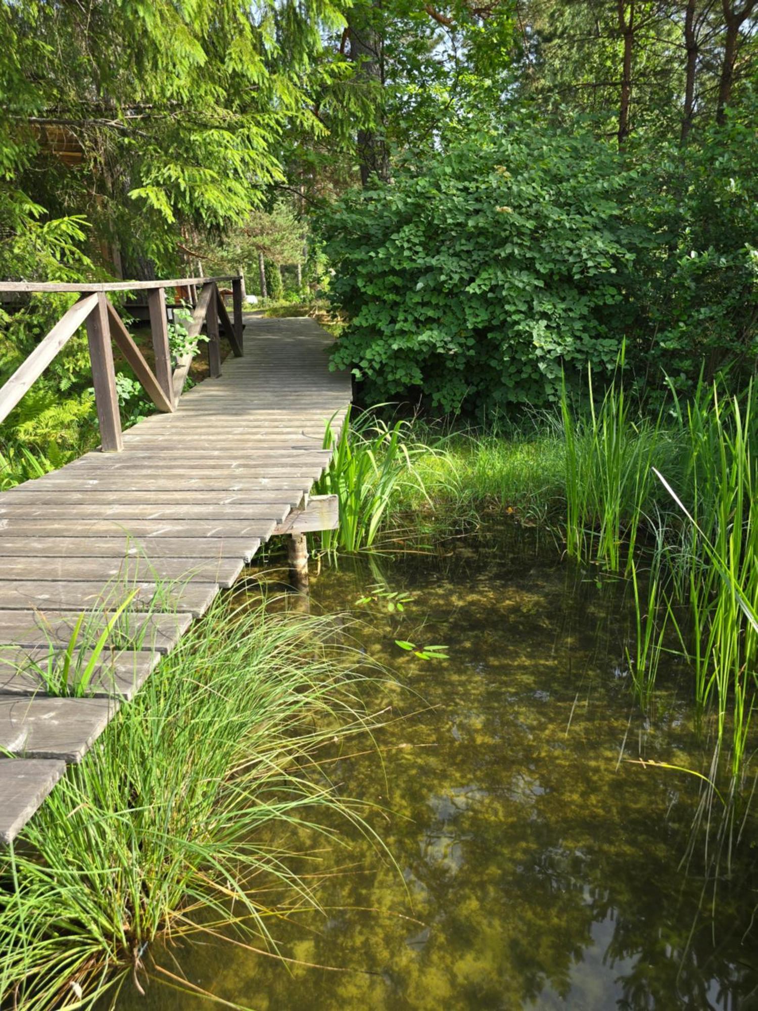 Villa Treehouse Ciekurs Dukuri Esterno foto