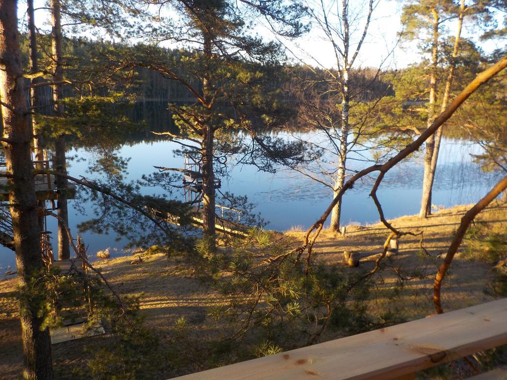 Villa Treehouse Ciekurs Dukuri Esterno foto