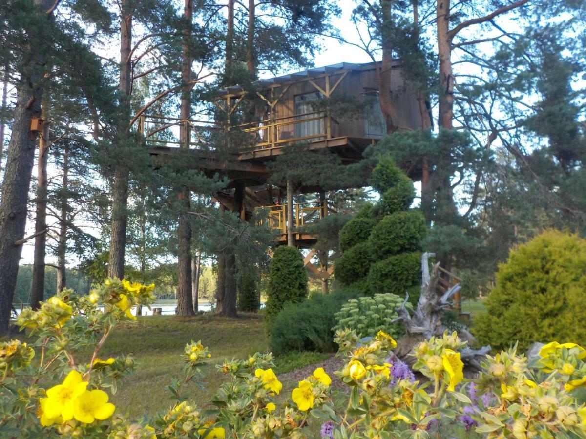 Villa Treehouse Ciekurs Dukuri Esterno foto