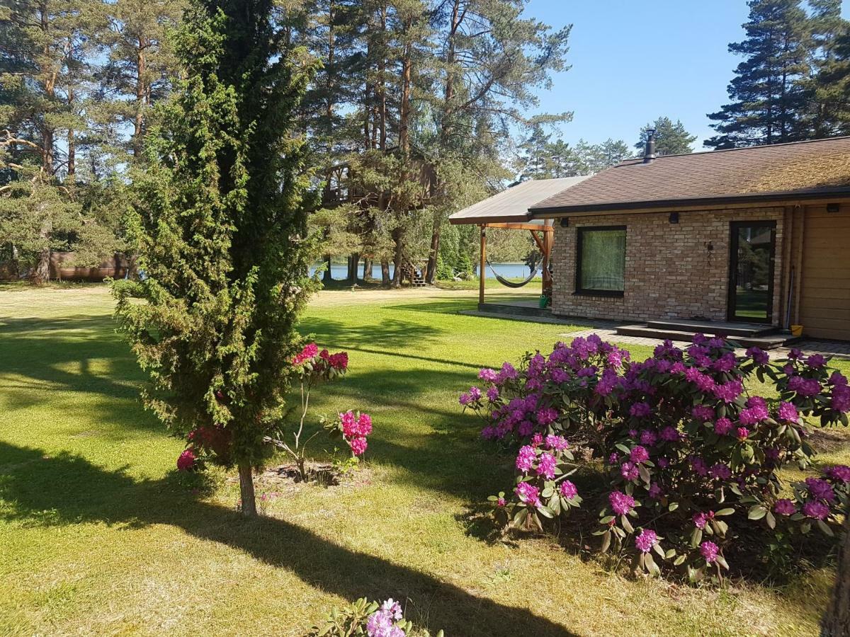 Villa Treehouse Ciekurs Dukuri Esterno foto